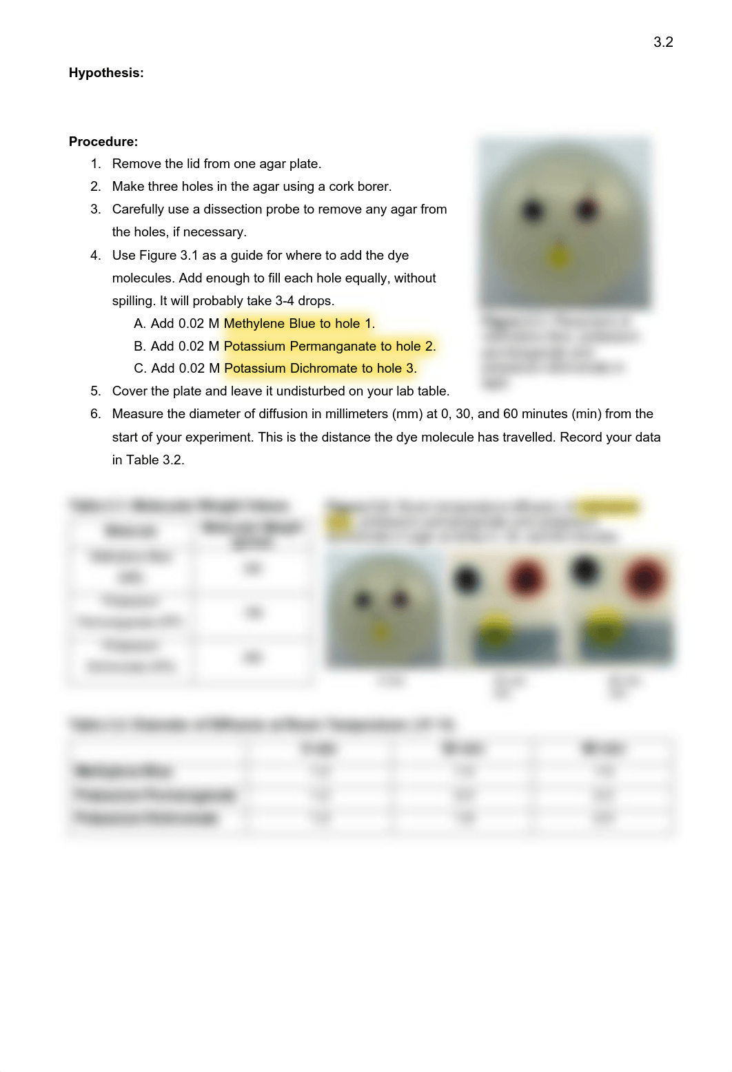 Lab03 Cell Transport (1).pdf_dyuee6iq3n9_page2