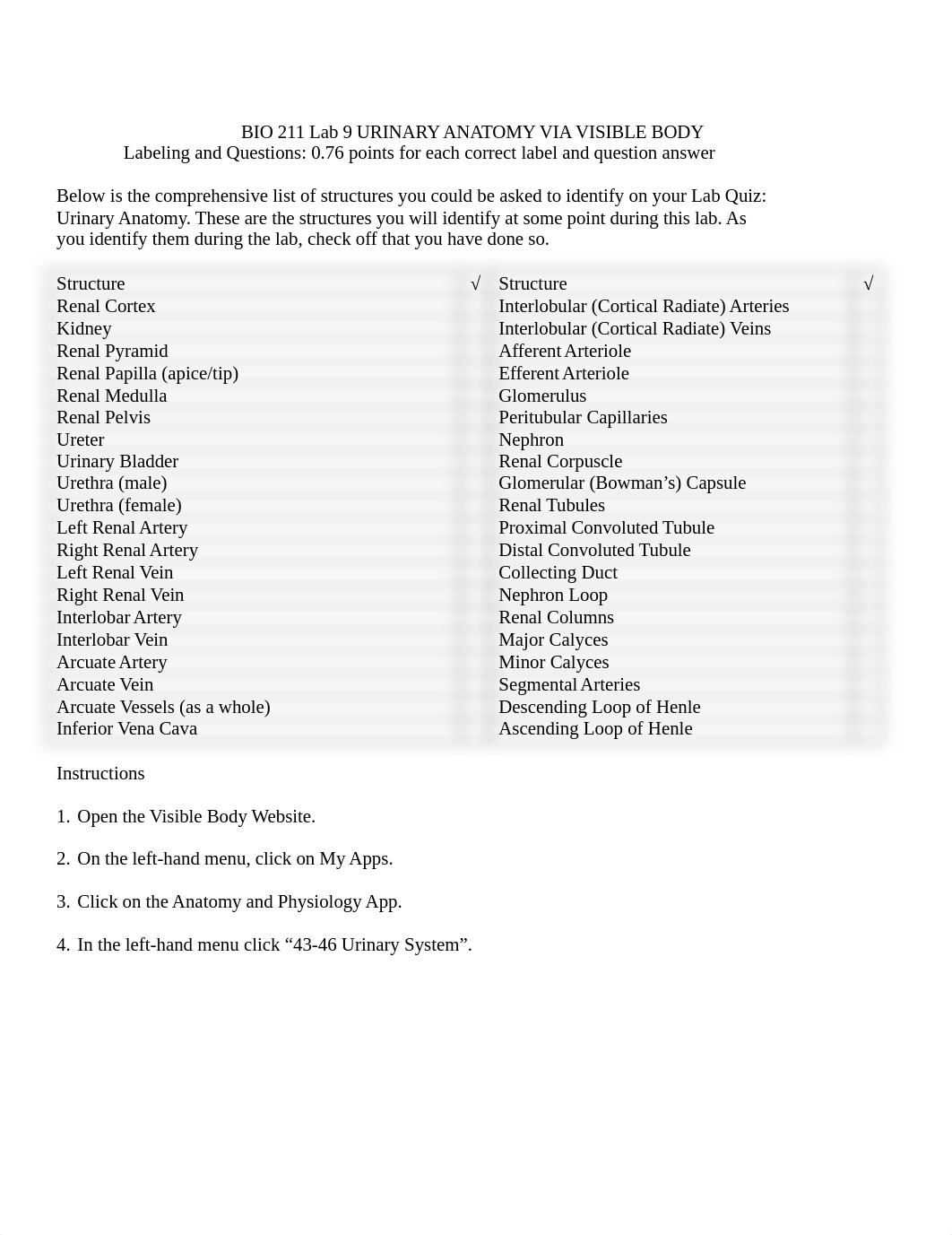 BIO 211 Lab 9 Urinary Anatomy SU2021.docx_dyuen5r6h2d_page1