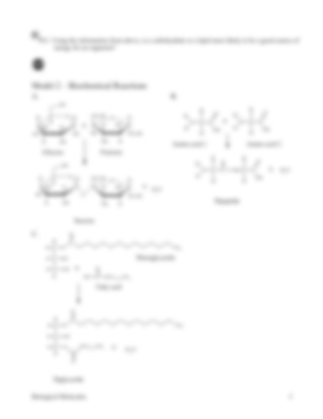 6_Biological_Molecules-S_dyuhgftyz3i_page3