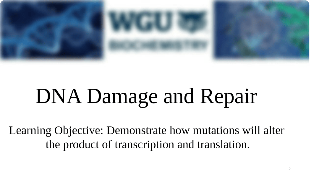 DNA and RNA Recorded Cohort Part 2 Slides.pdf_dyuuf6f0ixn_page3