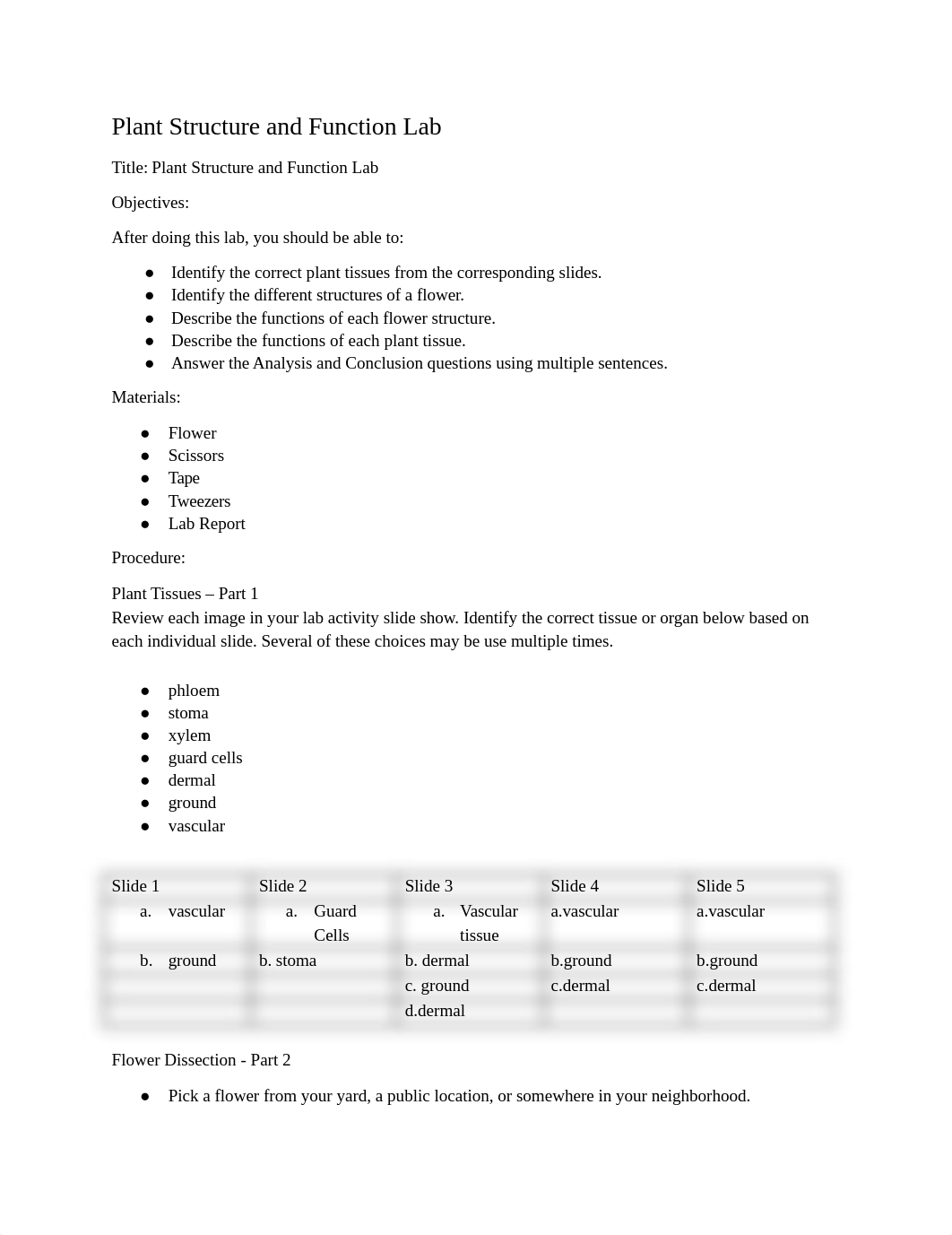 virtual_plants_lab_report.pdf_dyuwu27asdj_page1