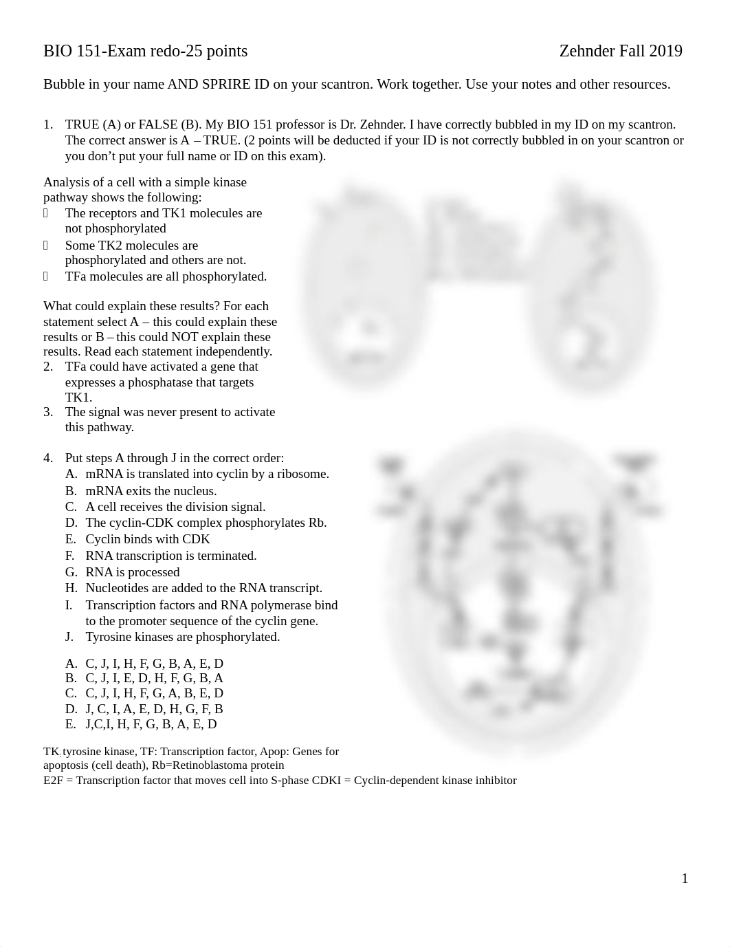 exam 3 redo 2019 zehnder.pdf_dyux76lwo9c_page1