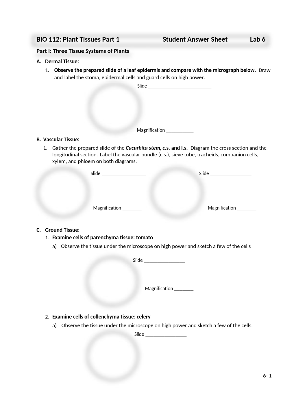 Lab 6 Answer Sheet- S.Sawyers.docx_dyv5lb1glkh_page1