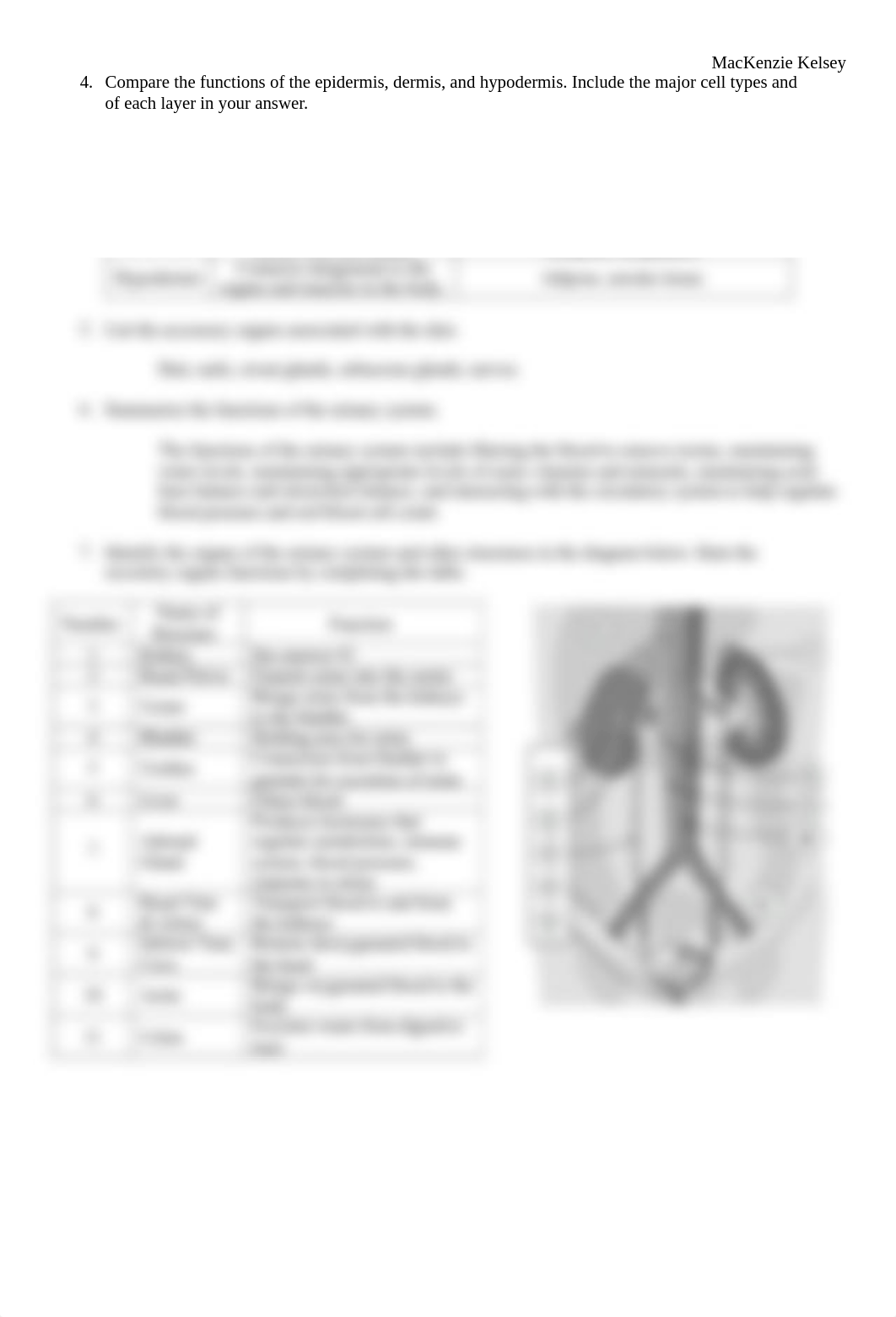 Week 11 - Integumentary and Urinary Systems Concept Check.pdf_dyv73q6zg5o_page2