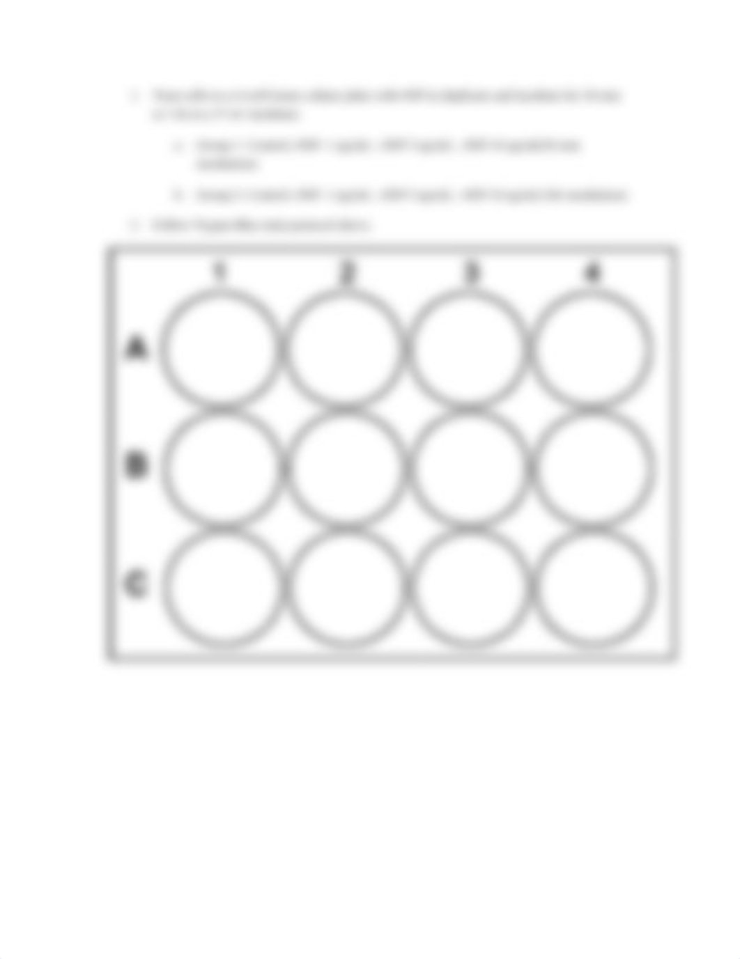 Cell Viability Assay Under Oxidative Stress Fall 2019.doc_dyvefljfl61_page2