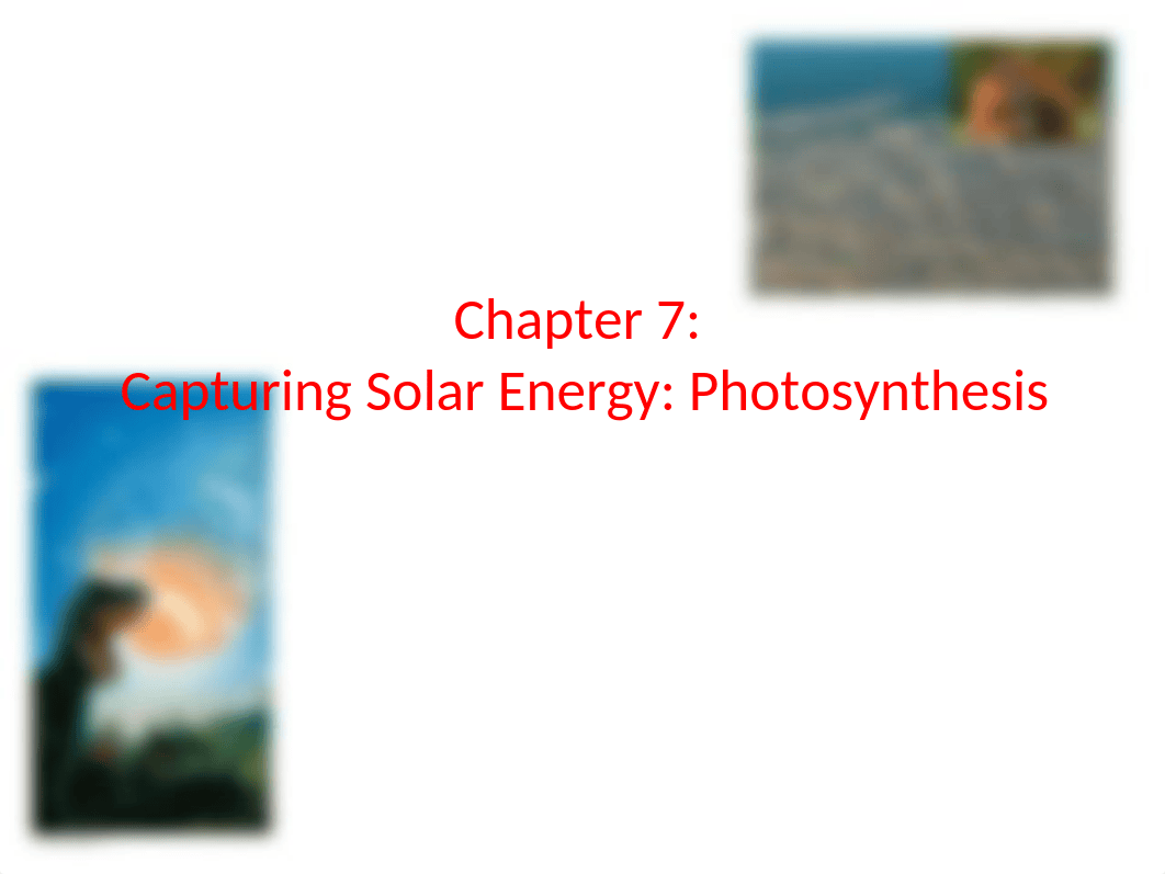 chapter 7 Capturing Solar Energy - Photosynthesis.pptx_dyvg87chinh_page1