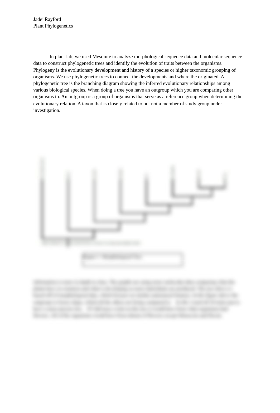 Plant Phylogenetics_dyvij9ermtk_page1