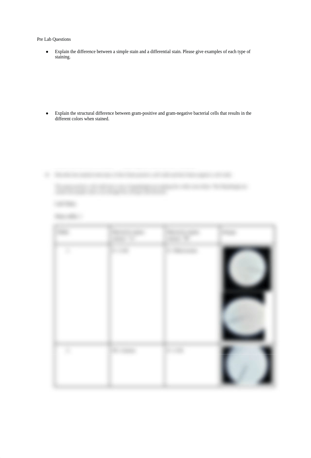 simple and differential stain lab.docx_dyvpcvzm33j_page1