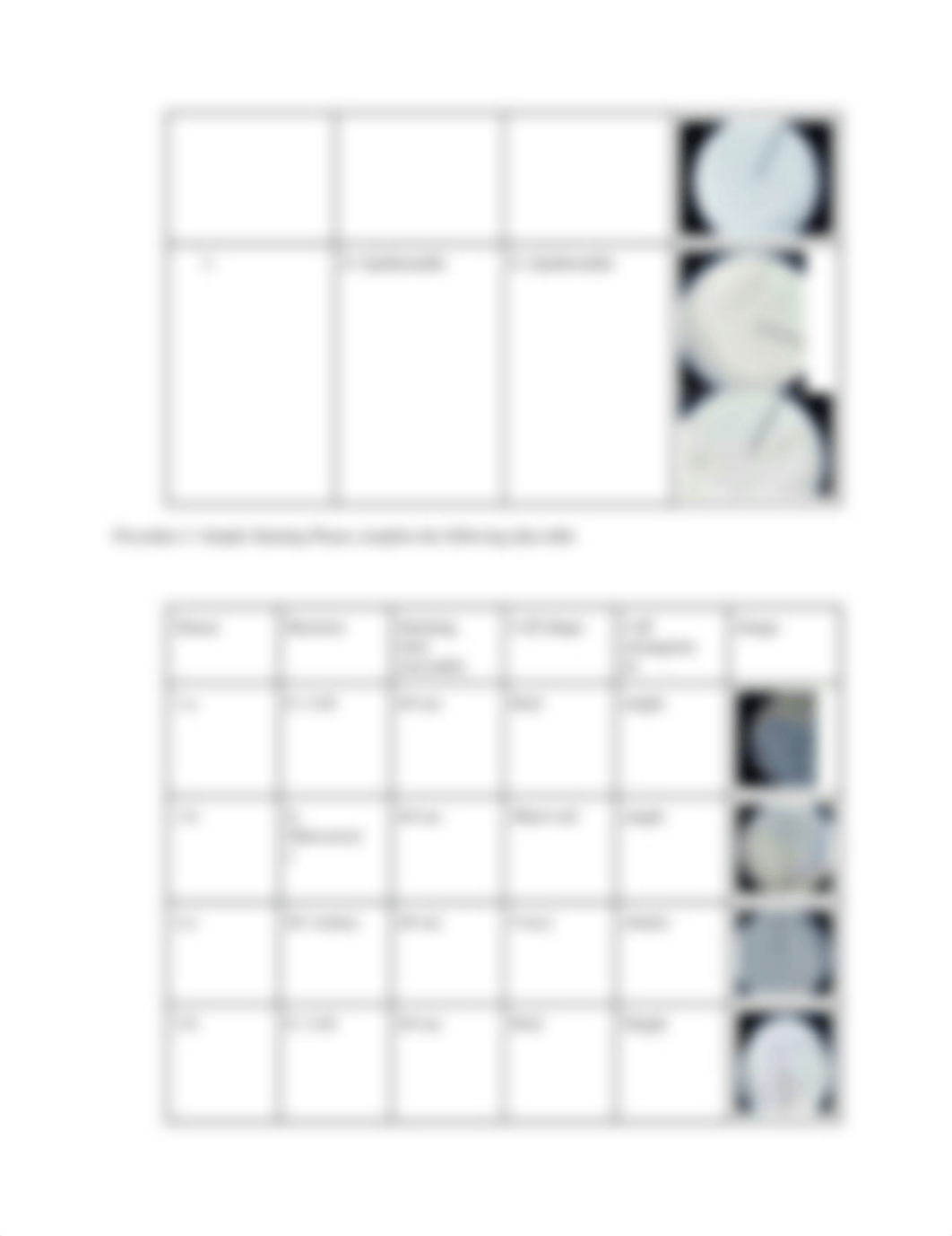 simple and differential stain lab.docx_dyvpcvzm33j_page2