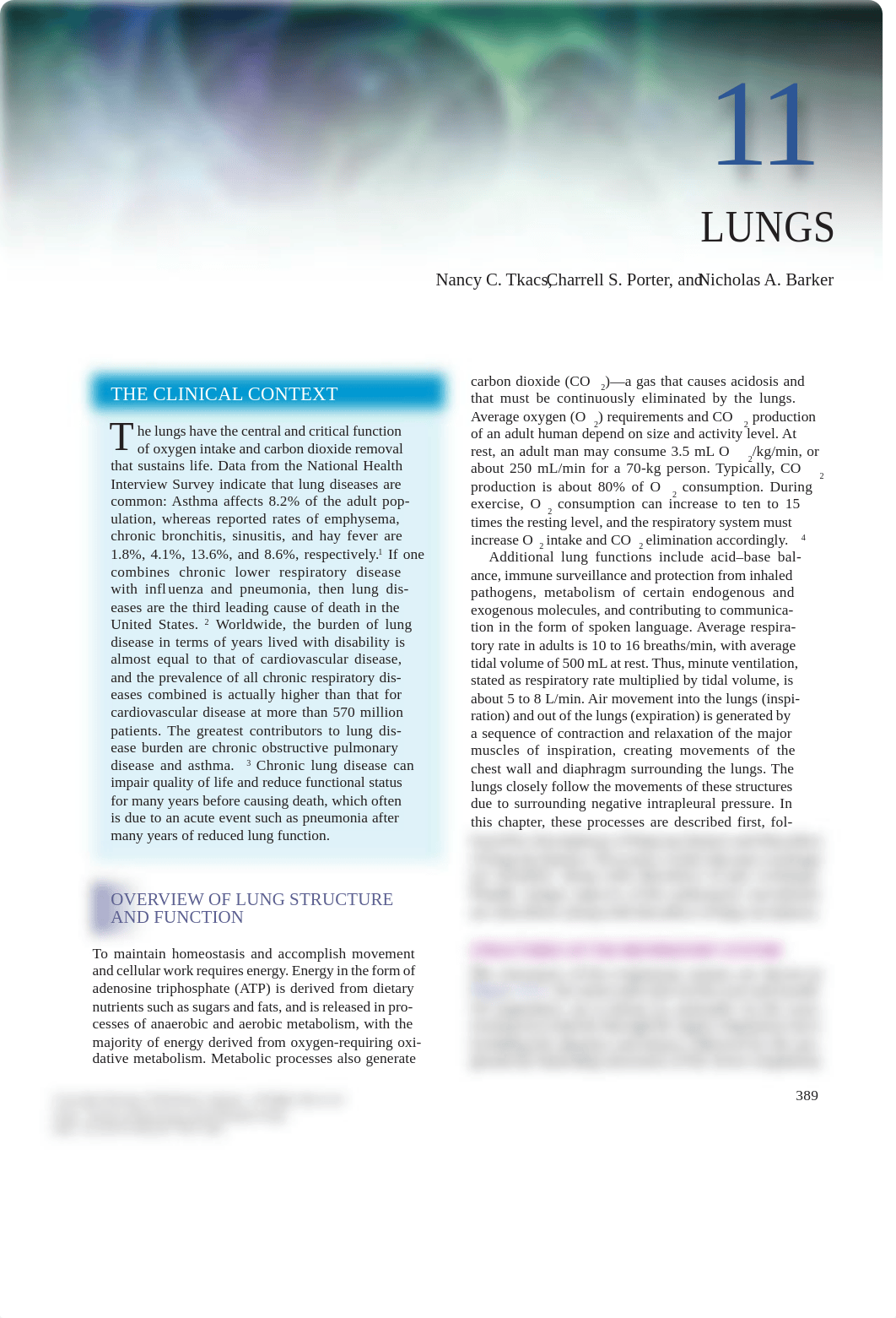 Lungs.pdf_dyvrk6te53t_page1