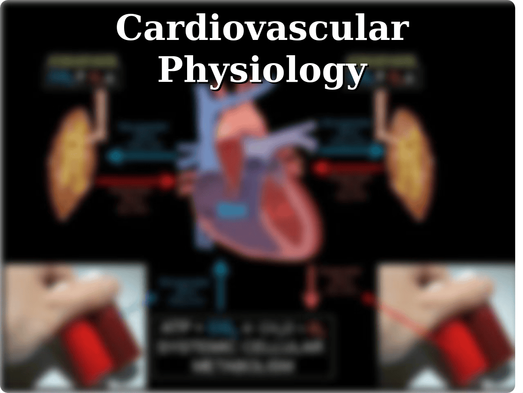 CVS Physiology REVISED 2019(2).ppt_dyw7c2t9ydl_page4