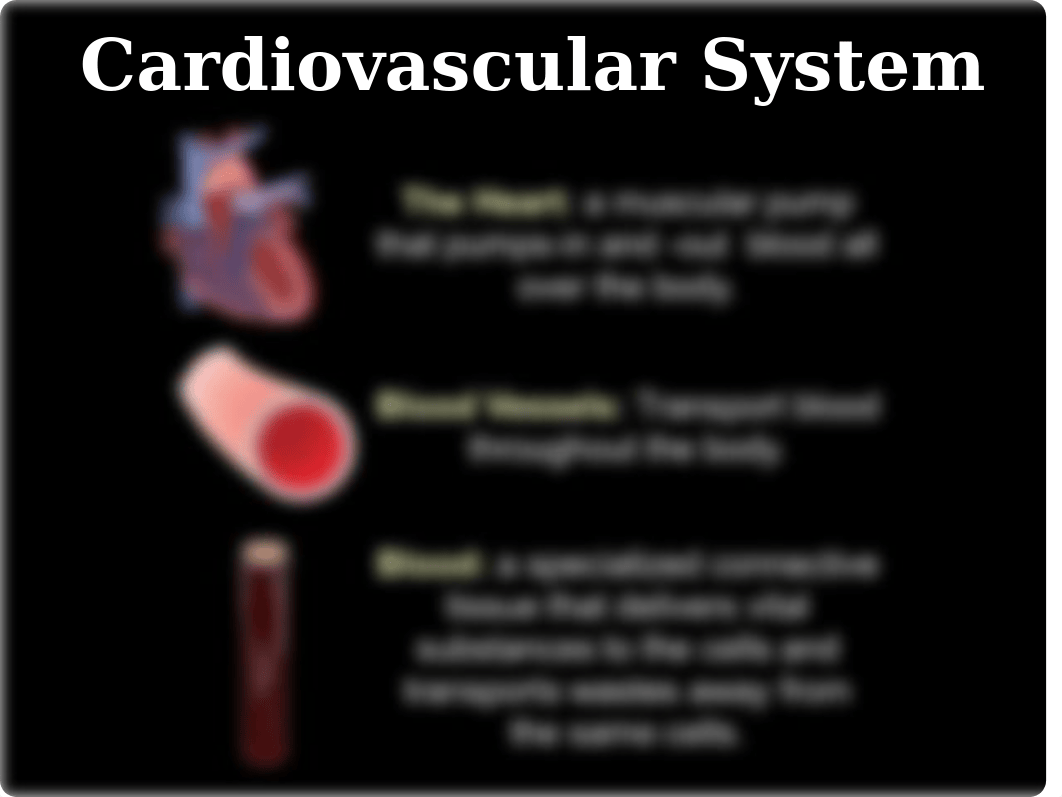 CVS Physiology REVISED 2019(2).ppt_dyw7c2t9ydl_page3