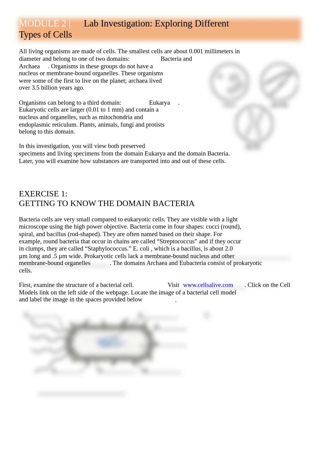 MODULE 2 LAB 1 Cell Structure and Function (1).docx_dyw7mrsnm5h_page1