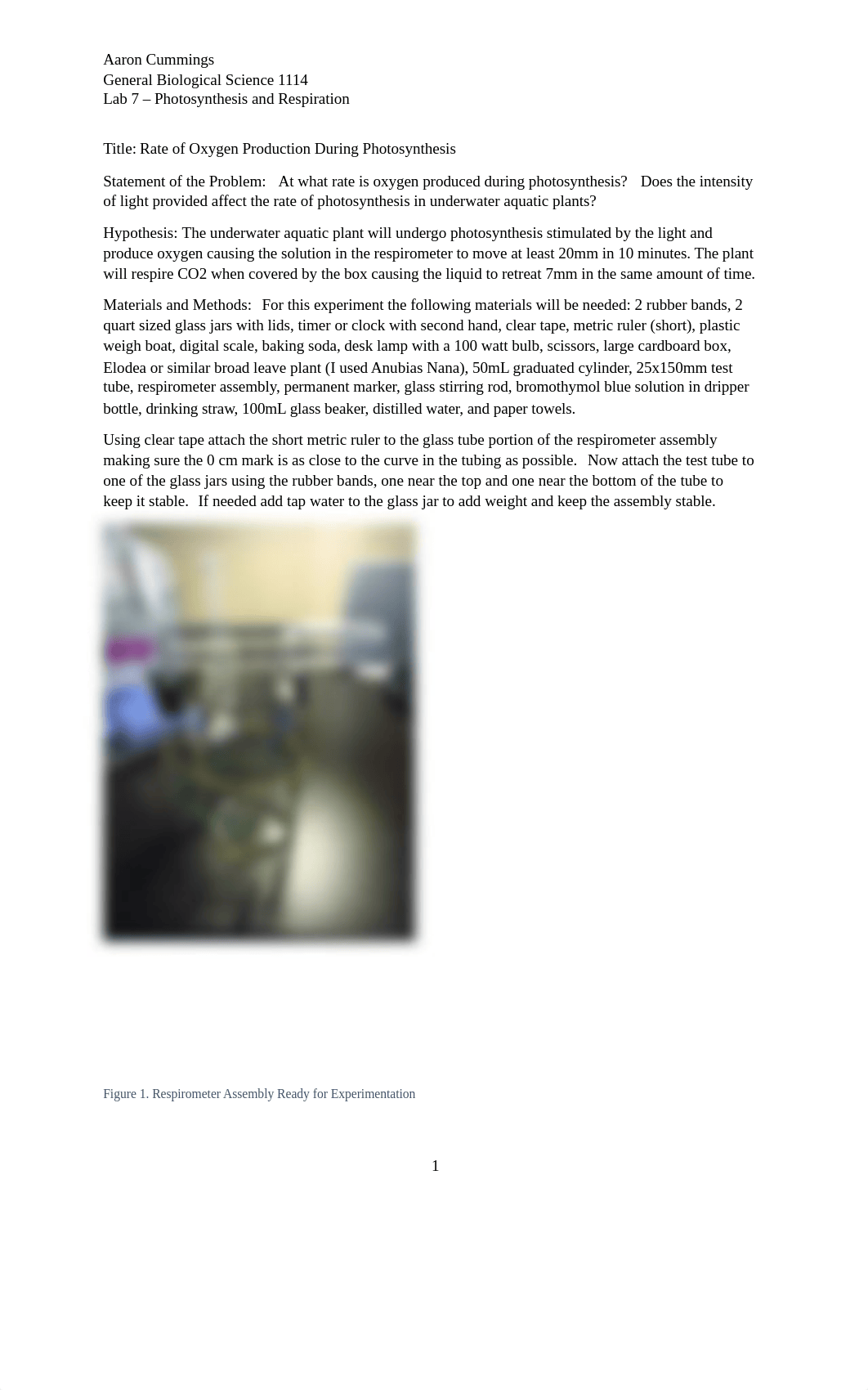 Lab 7 Report.docx_dyw87mmd345_page1