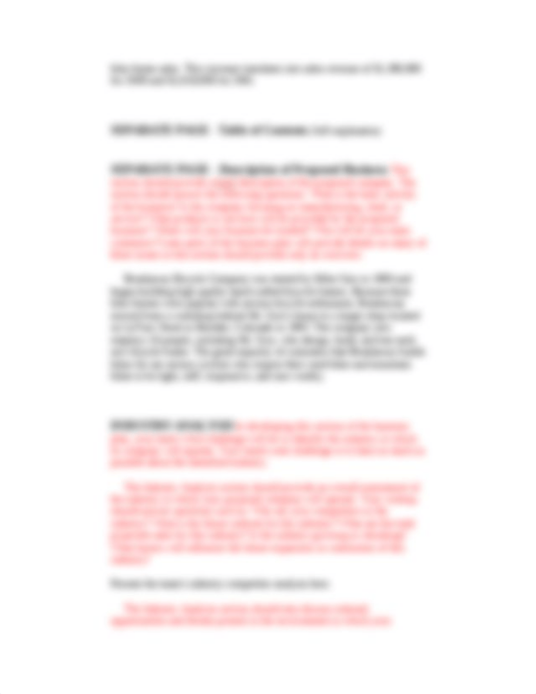 Sample Business Plan- Written Plan.doc_dywg14c4kiy_page3