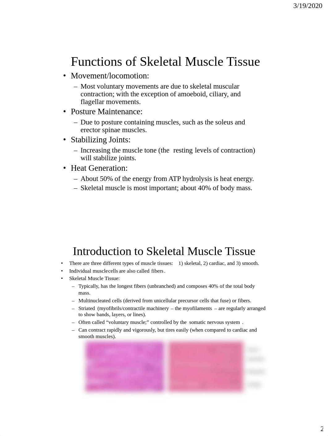 8.  Muscle Tissue and Physiology.pdf_dywxckfg506_page2