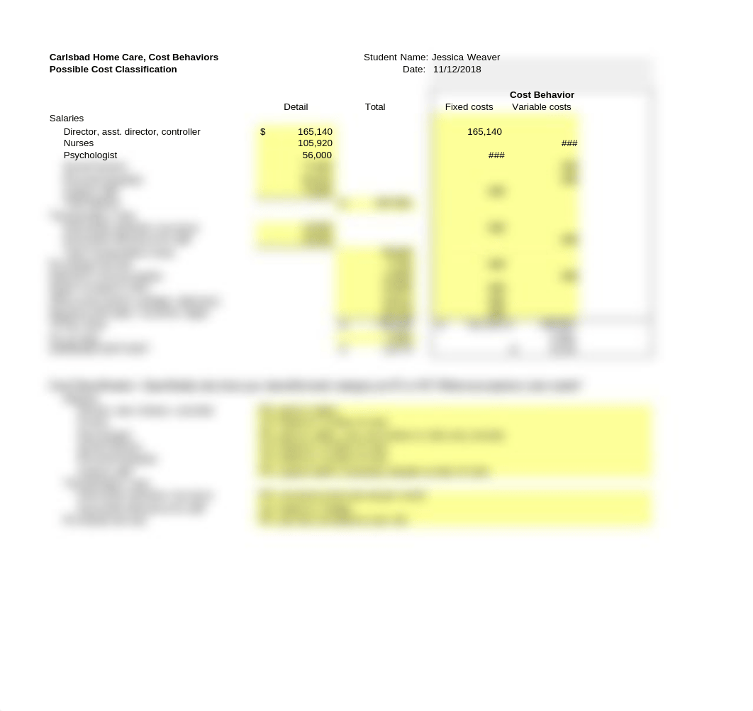 Case 2.1 Carlsbad Home Care (Weaver).xlsx_dywxqltlftn_page3