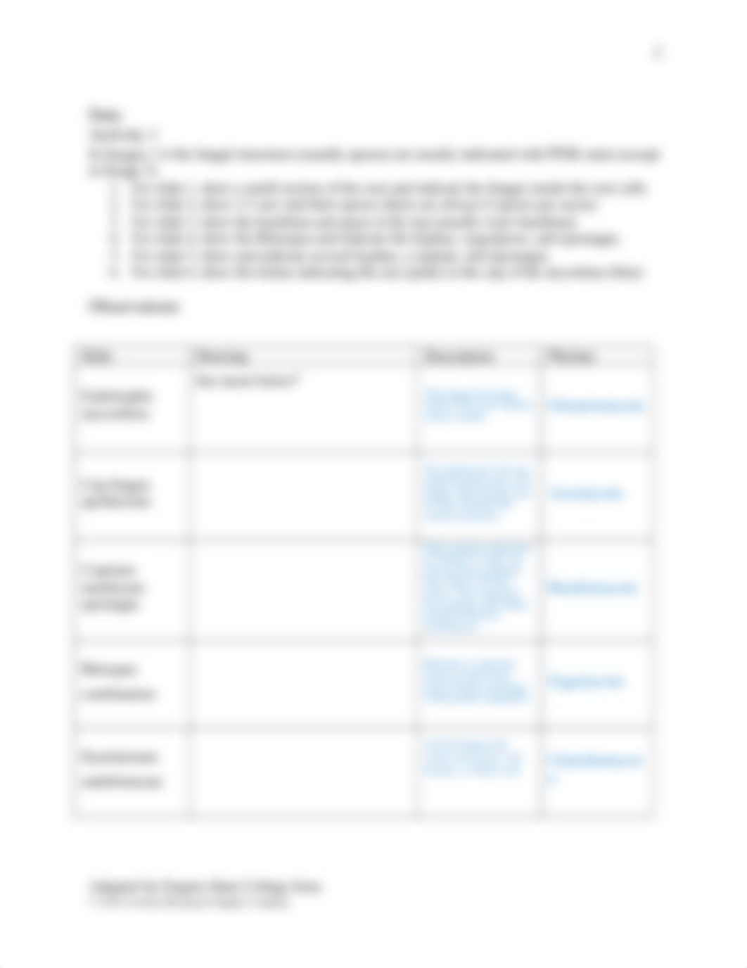 Bio 2 M2L2 Fungi.docx_dyx156slbah_page3