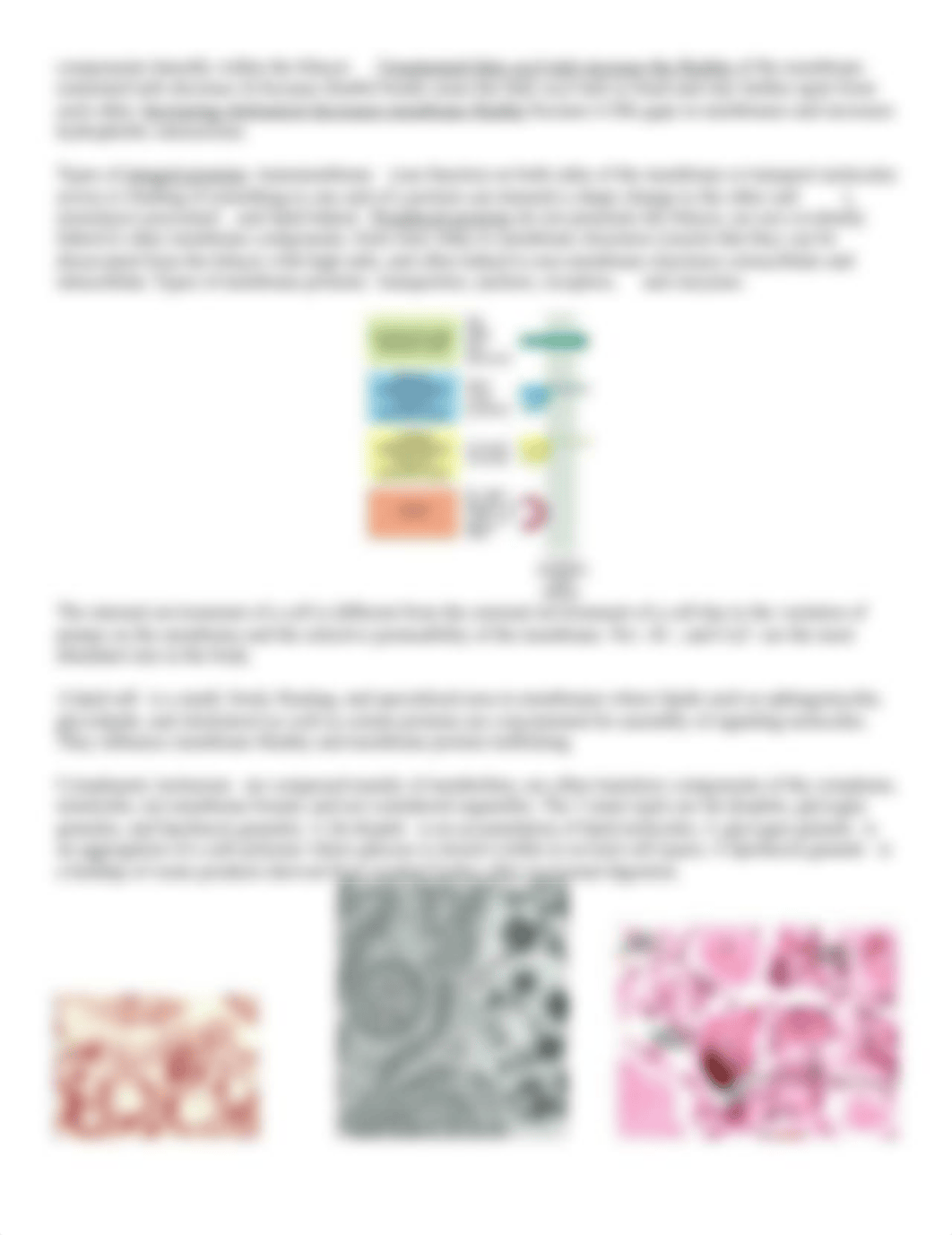 Membranes and Cytoplasm.docx_dyx1hj4nwx8_page2