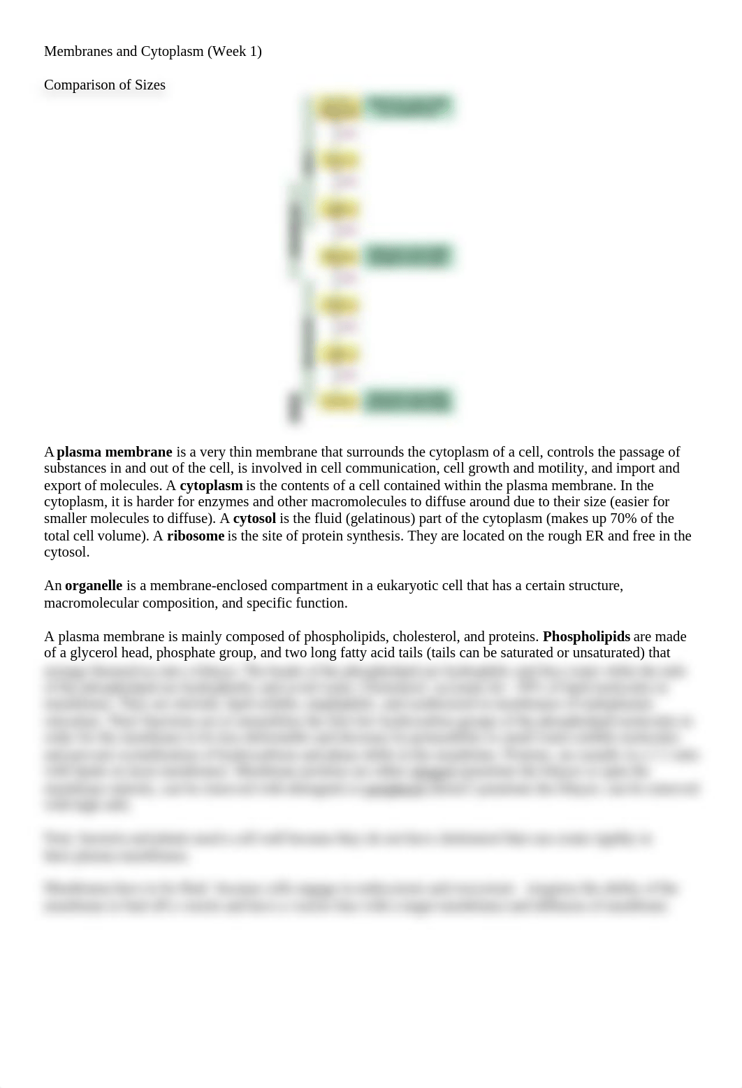 Membranes and Cytoplasm.docx_dyx1hj4nwx8_page1