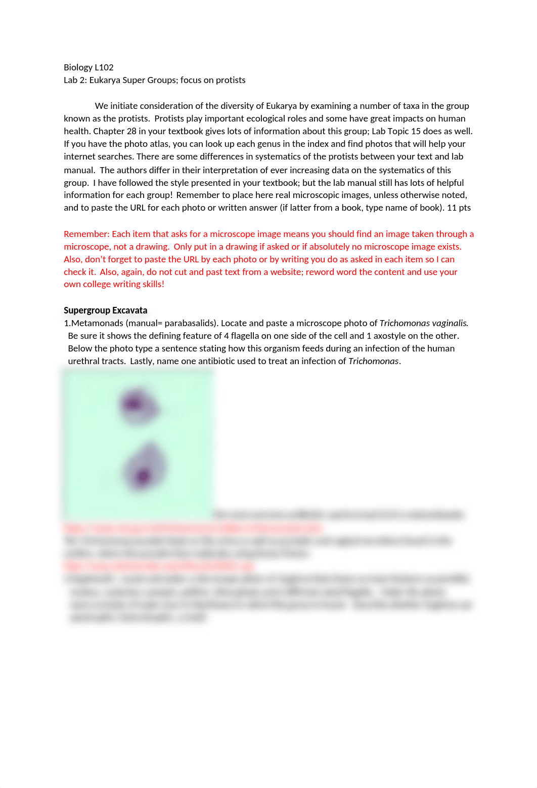 Bio 102 protist lab.docx_dyx8edcswcw_page1