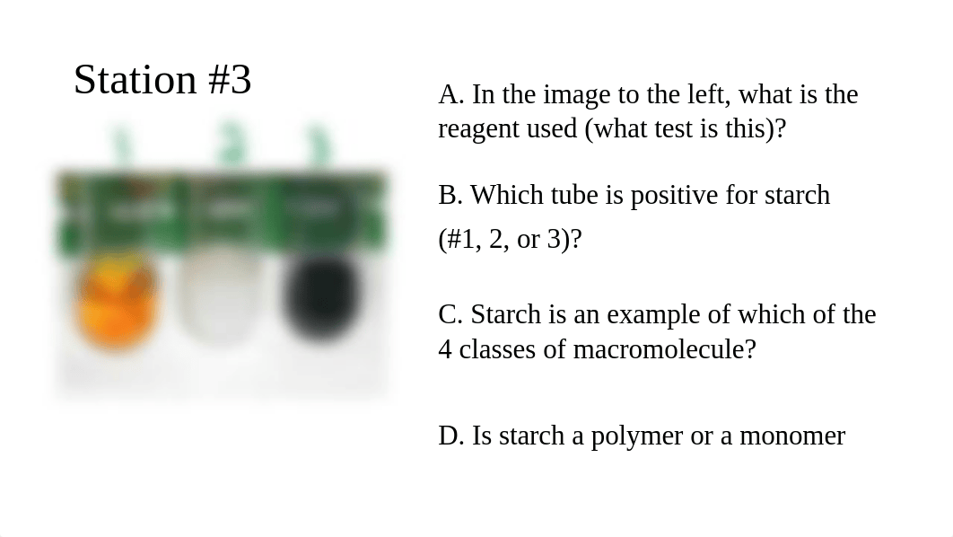 BIOL 143 Test 1 Review (1).pptx_dyxc4dubk5z_page4