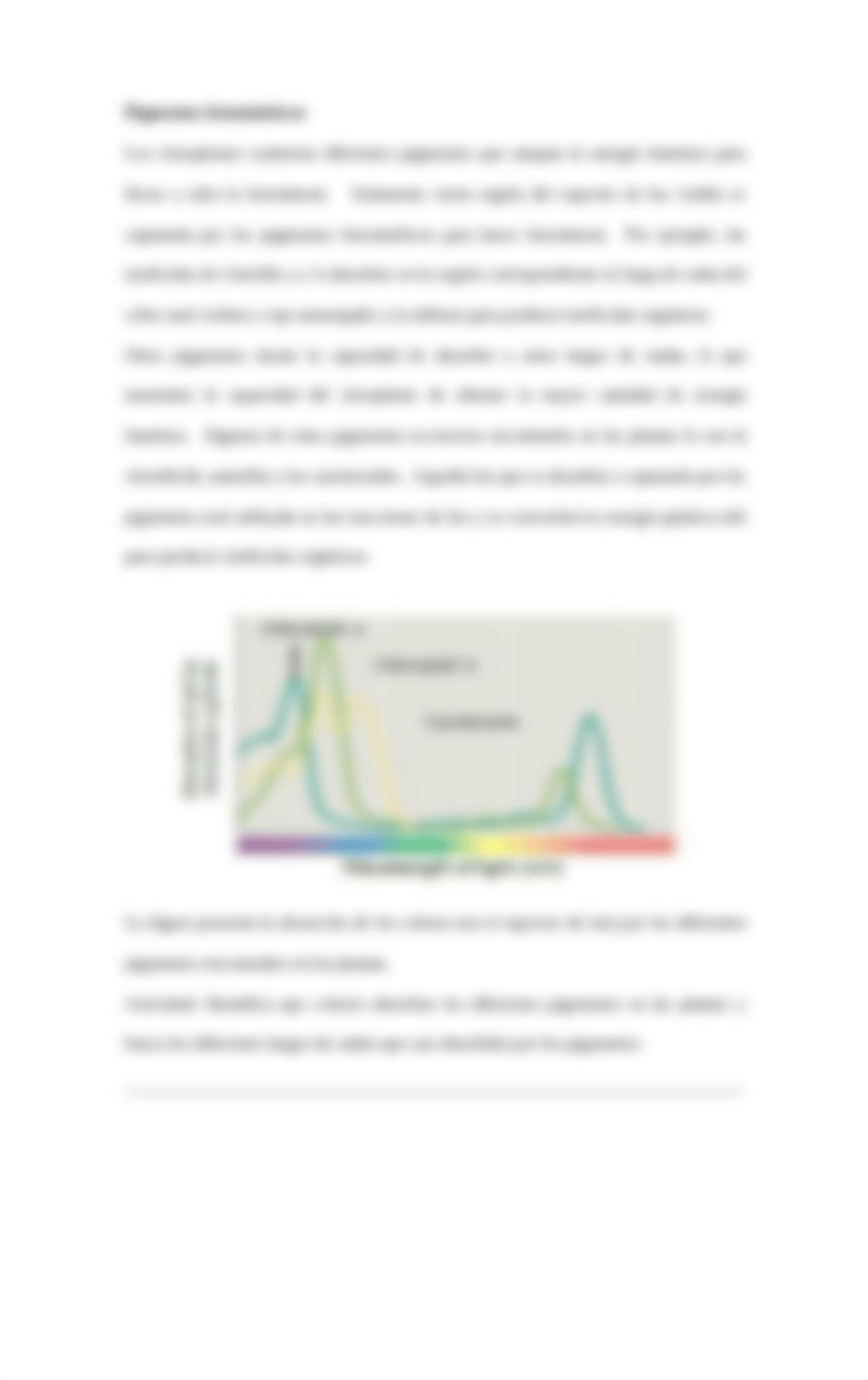 5.2 Biol 3011  Fotosintesis modulo  5.pdf_dyxgo10bsyb_page4