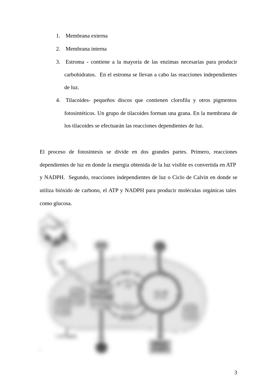 5.2 Biol 3011  Fotosintesis modulo  5.pdf_dyxgo10bsyb_page3