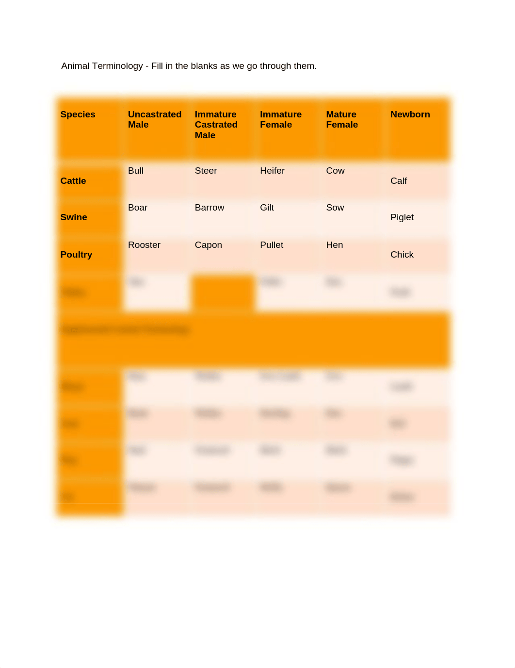 PM_Animal_Terminology_Chart_dyxhit1fifv_page1