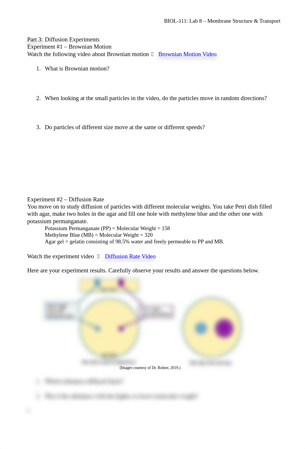 BIOL-111_MEMBRANE STRUCTURE & TRANSPORT WORKSHEET.docx_dyxhq7ku0vt_page3