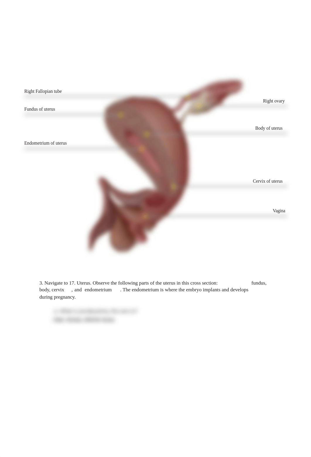 BIO324LabWorksheetFReproductive.pdf_dyxo3ebiib0_page5