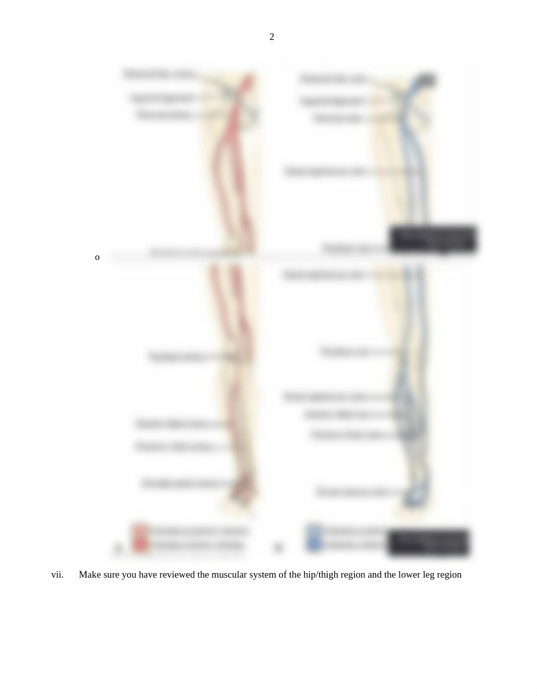 LE Exam Review-Post.docx_dyy64b6gs6z_page2