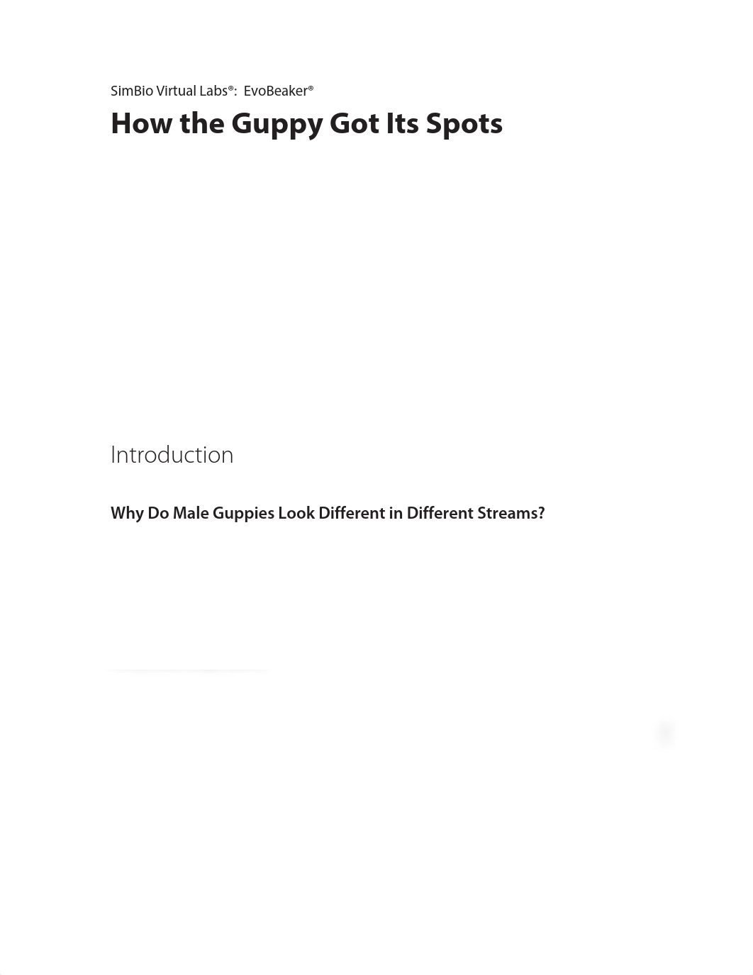 ST_GuppySpots_2019 bio rec 2:19.pdf_dyyde1qalp1_page2