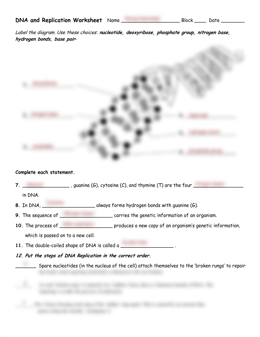 Kami Export - Shreya Kasireddy - DNA replication sheet (1) (1).pdf_dyydsn6wvma_page1