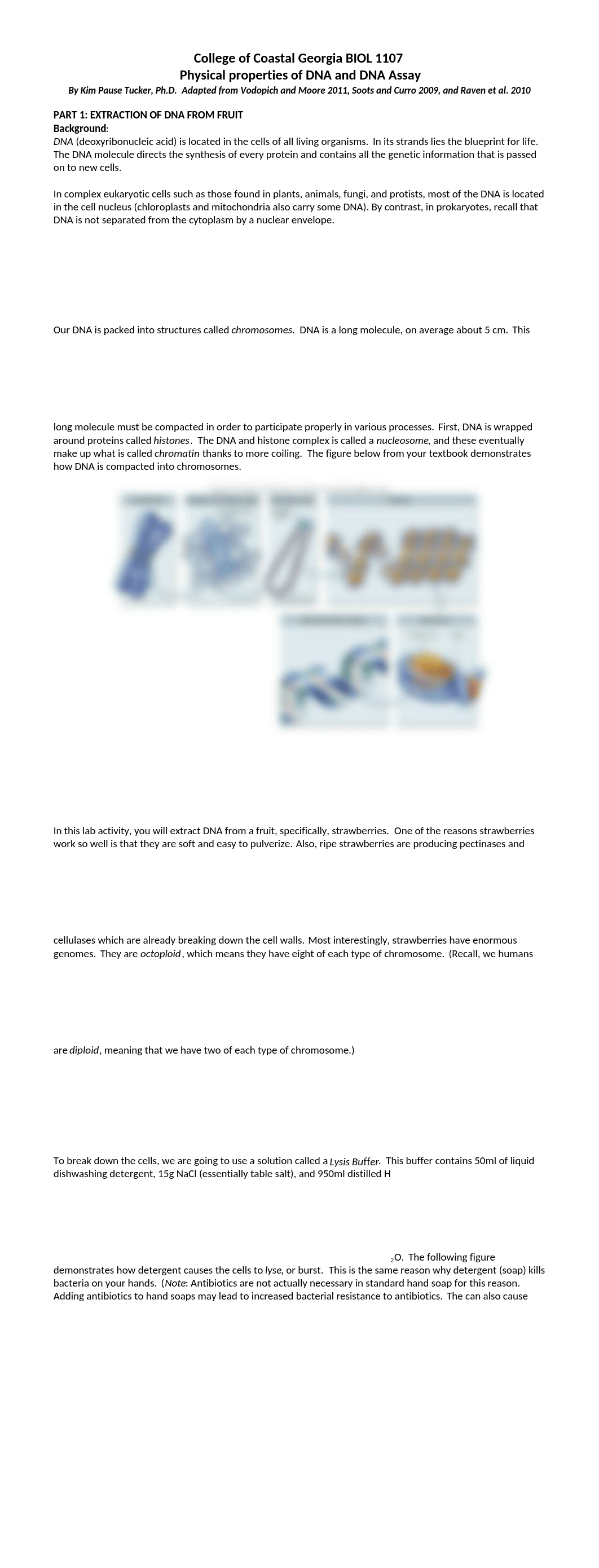 DNA Extraction Lab_dyyo1we7md2_page1