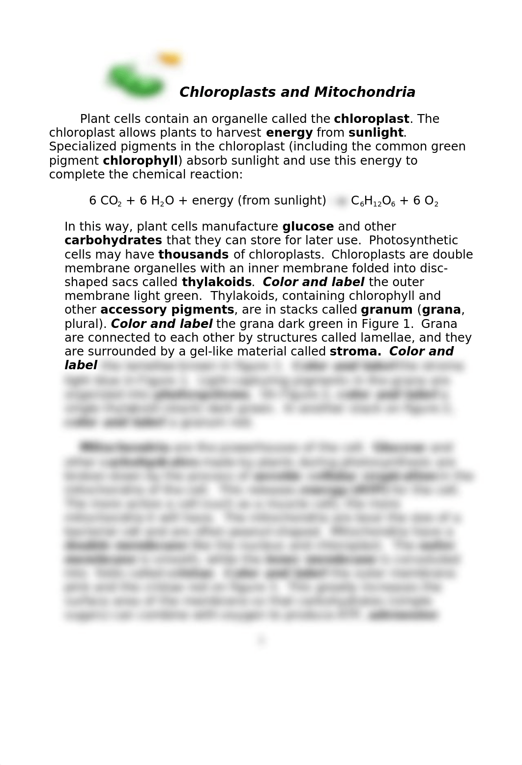 Copy of Copy of Chloroplasts and Mitochondria Coloring Sheets_study guide.doc_dyyq530zphs_page1