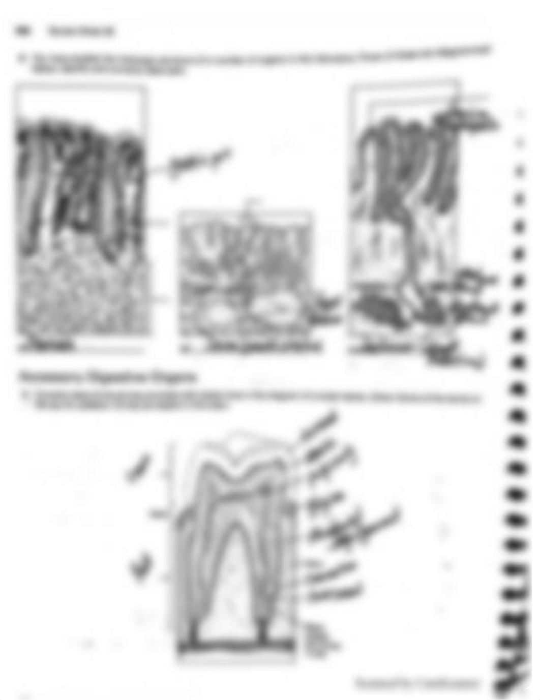 Exercise 38 A&P.pdf_dyyq85saxnp_page5