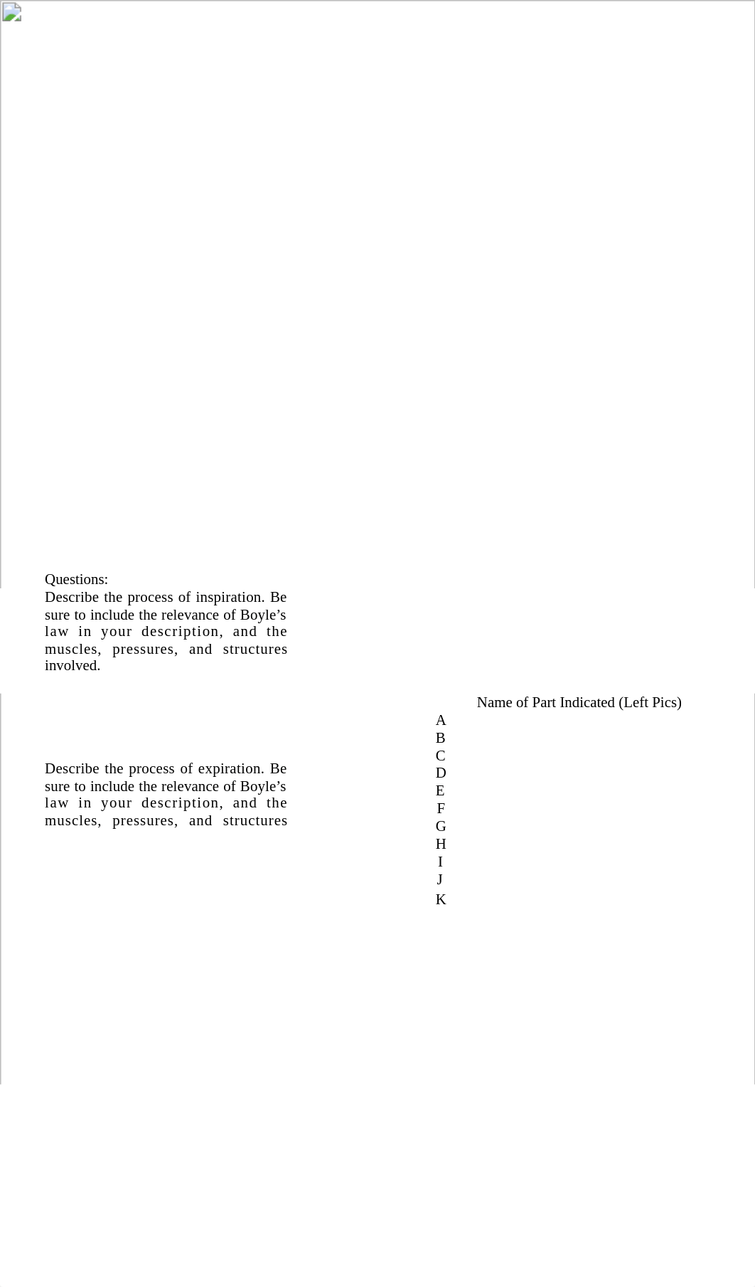 Lab 8 Respiratory System.docx_dyyuxngscek_page2