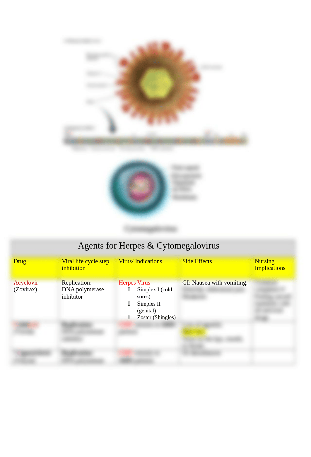 Chapter 10 (Antiviral) Drugs Chart.docx_dyyzq55je5u_page5