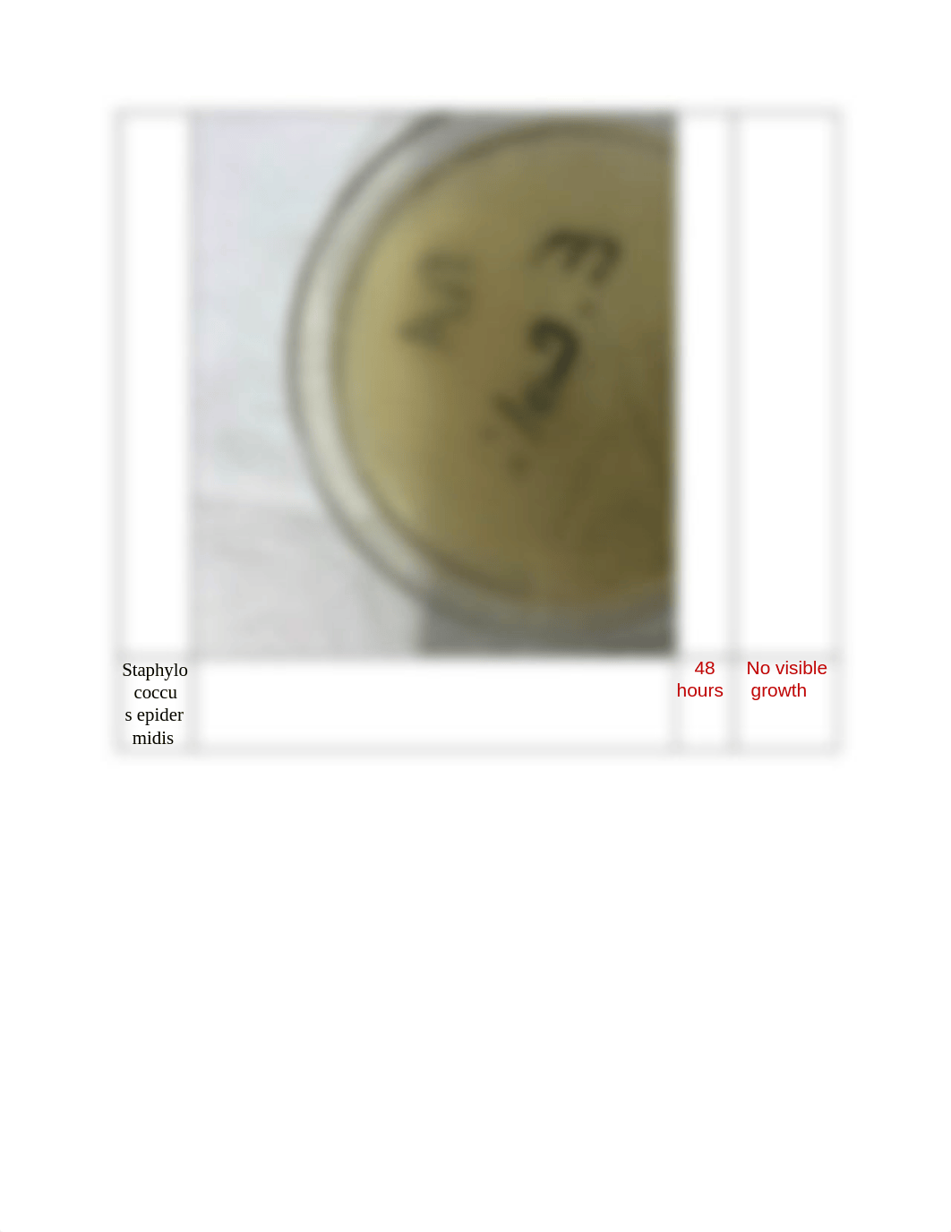 lab3.micro_dyzfx741f3x_page4