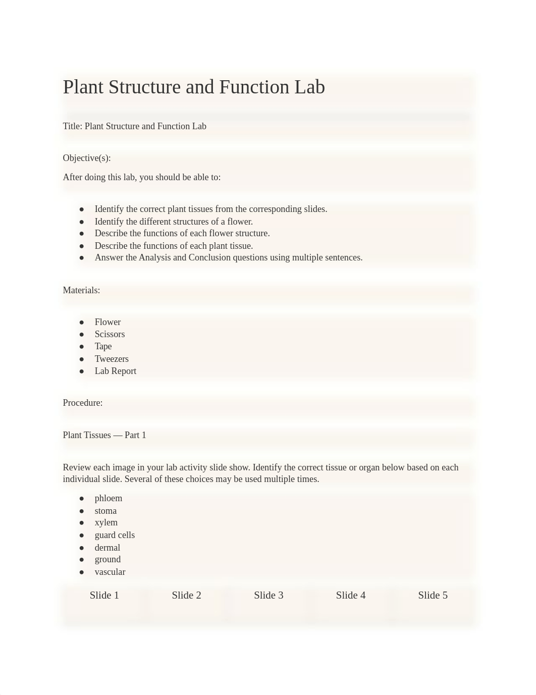 6.06 Plant Cells and Tissues - Piper DesRoberts .pdf_dyzicunl26w_page1