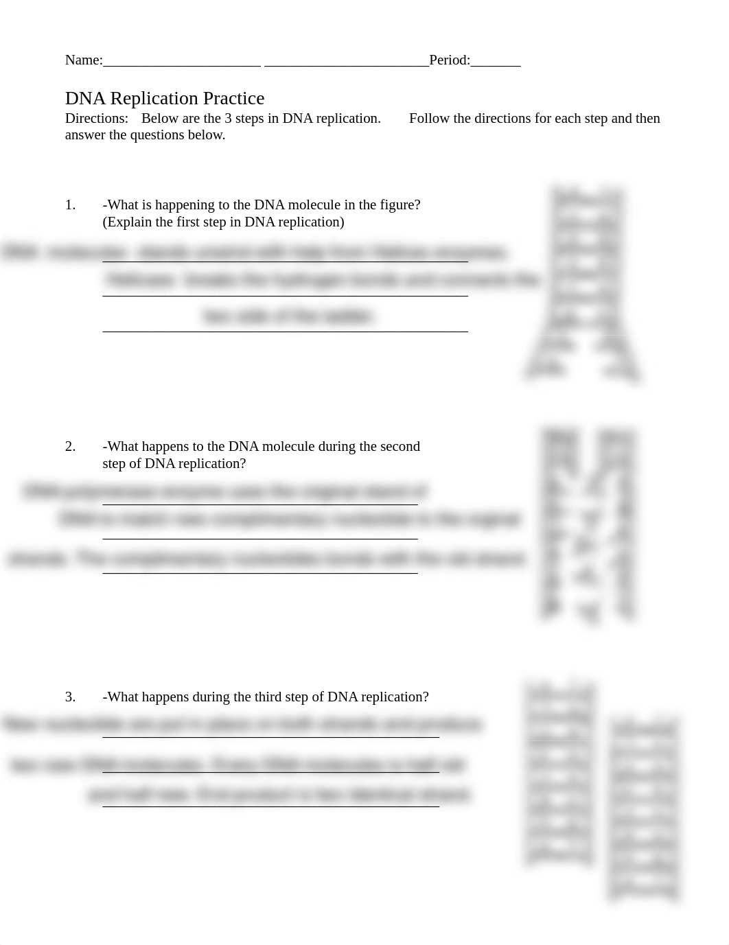 DNA_Replication_Worksheet.pdf_dyzj4ck9zdd_page1