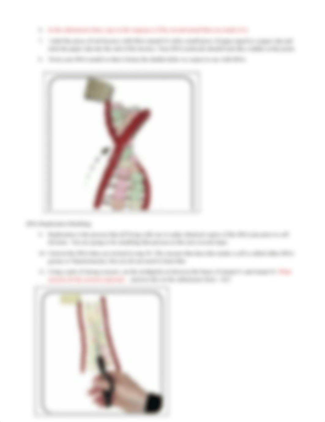 12.Lab 4 Protein Synthesis_1.doc_dyzuiyuaxoy_page3