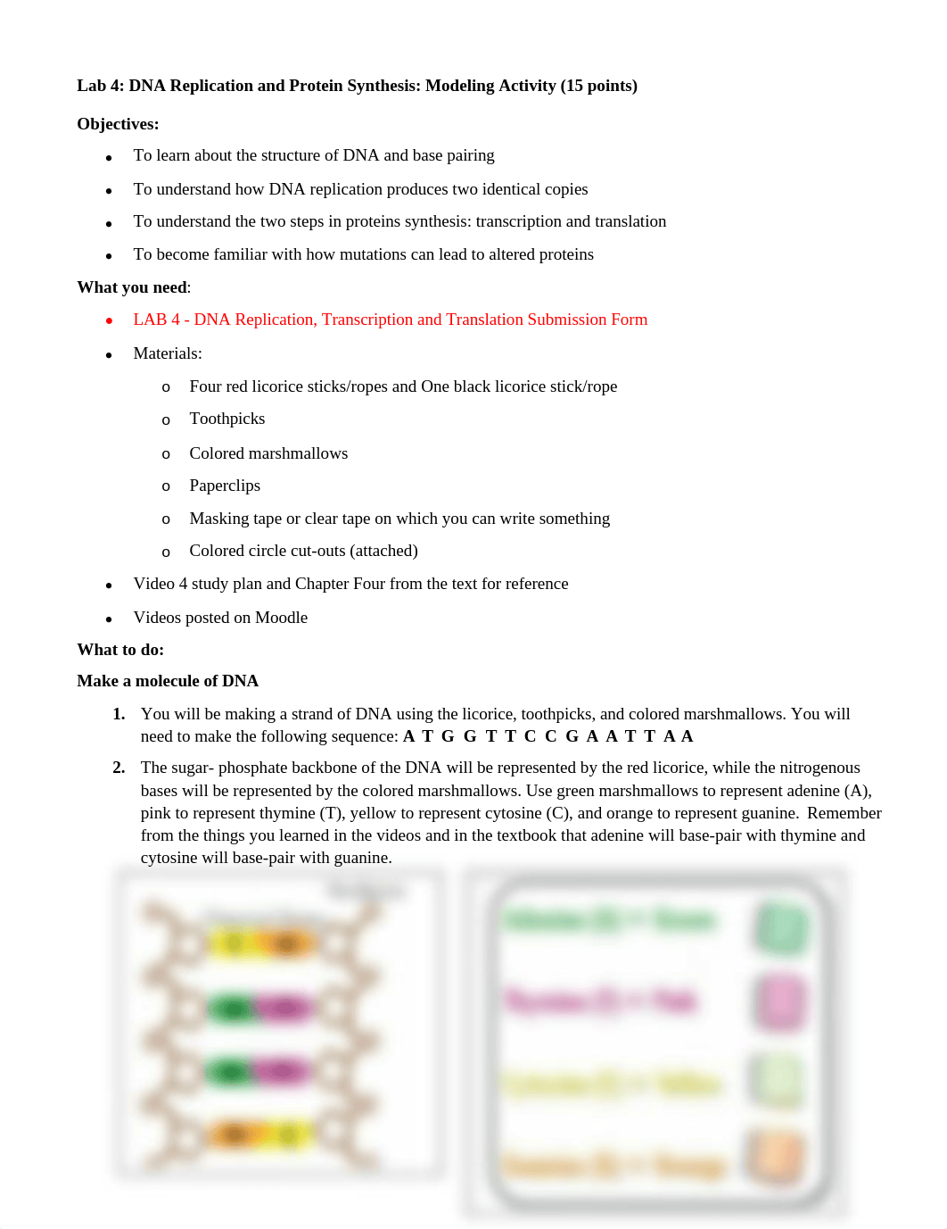 12.Lab 4 Protein Synthesis_1.doc_dyzuiyuaxoy_page1