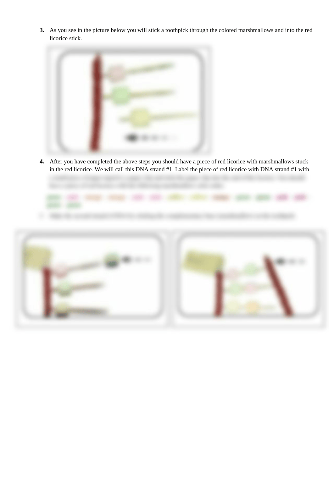 12.Lab 4 Protein Synthesis_1.doc_dyzuiyuaxoy_page2