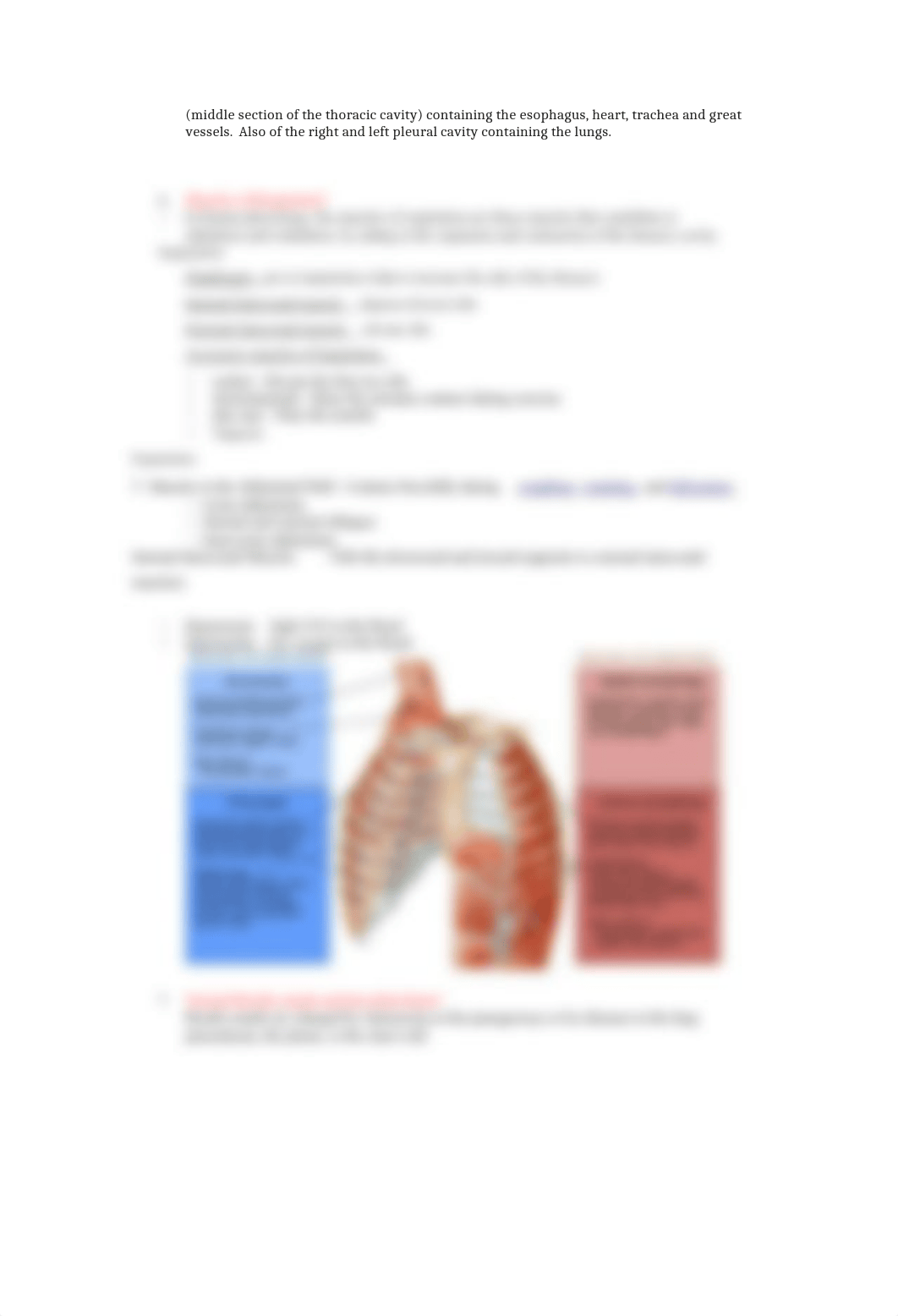 health assessment quiz 2 review.docx_dyzwhrutsy0_page3