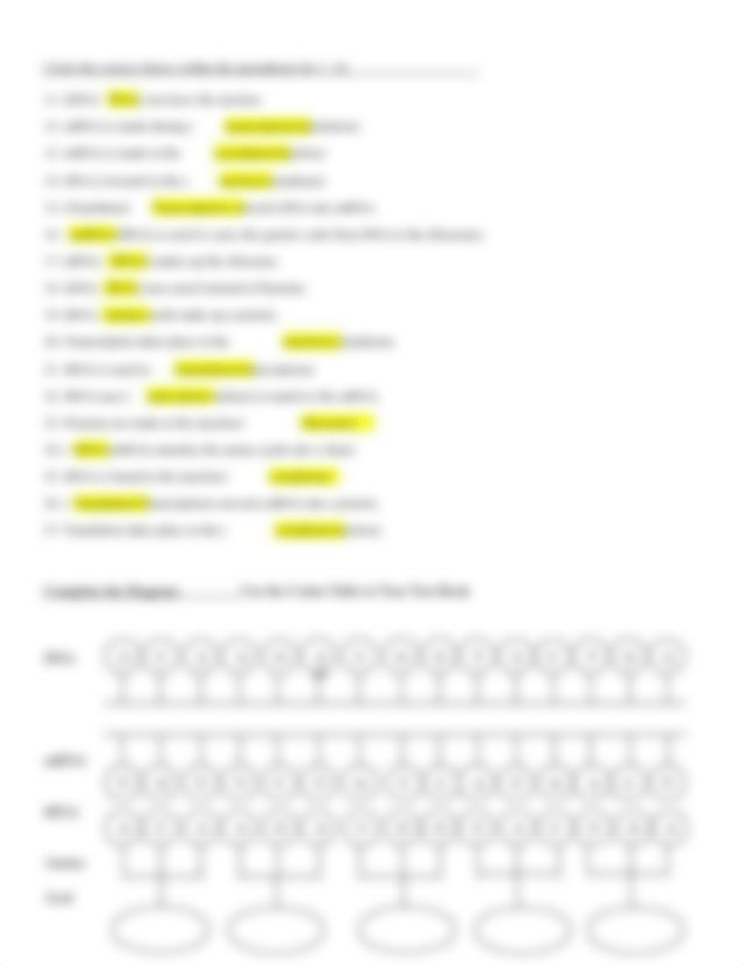 Protein Synthesis In-Class Worksheet Answe.doc_dyzx47ldkxq_page2