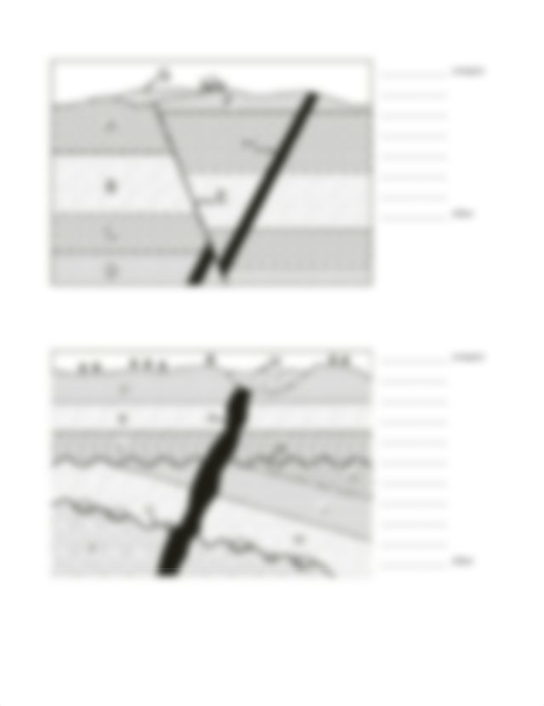 Geology Lab Assignment.docx_dyzxfrpqjek_page2