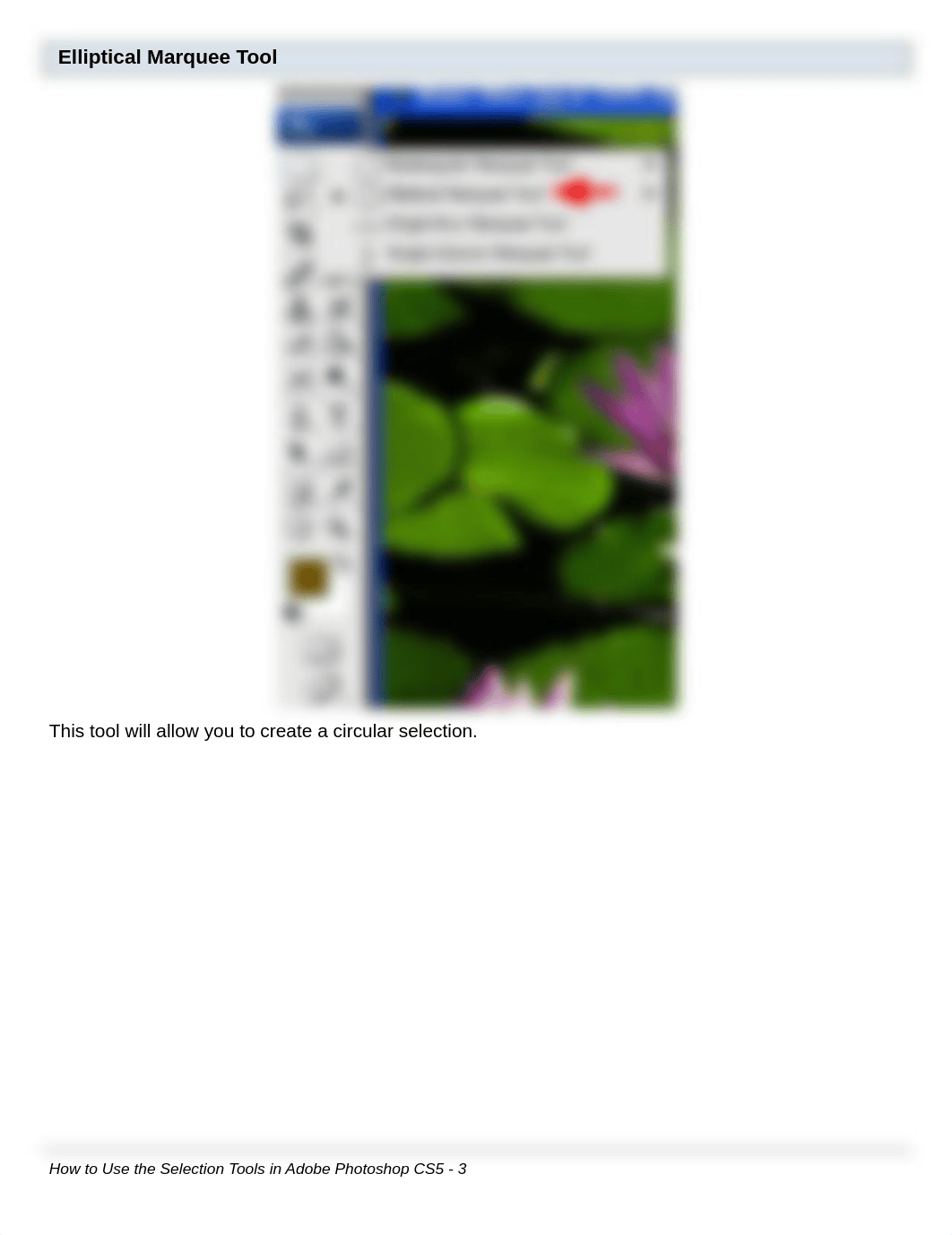 How to Use the Selection Tools in Adobe Photoshop CS5_dz00hhii825_page3