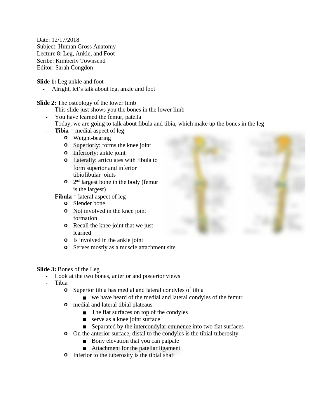 2018-2019 Anat Lecture 8 - Leg, Ankle, Foot.docx_dz00lznrs4s_page1